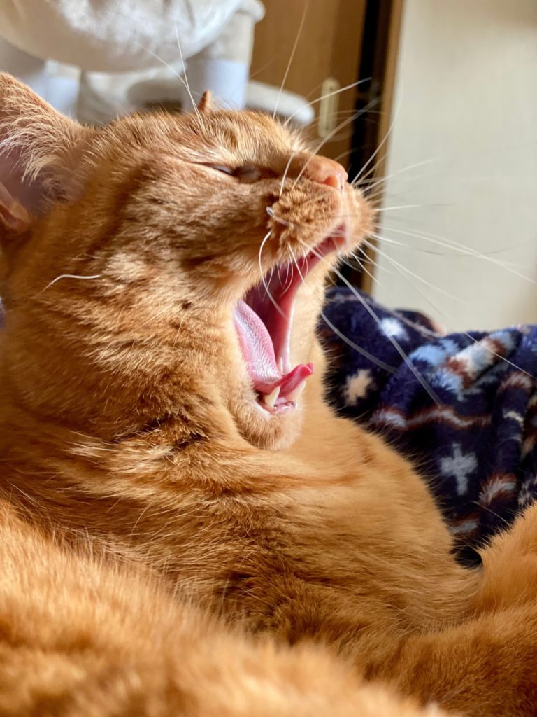 全国労働衛生週間-2