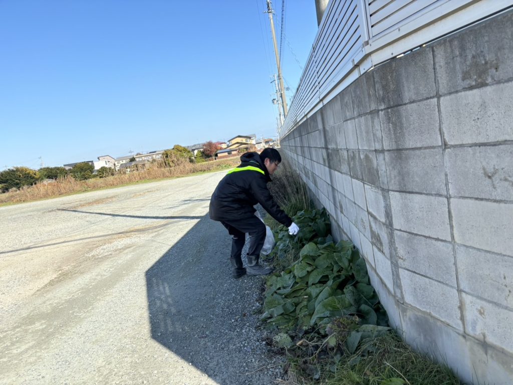 ゴミ拾いの様子-2